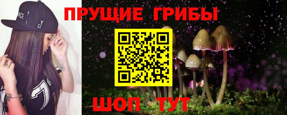Псилоцибиновые грибы прущие грибы  Галлюциногенные грибы Cubensis  где купить наркотик  Чусовой  Вход с VPN 